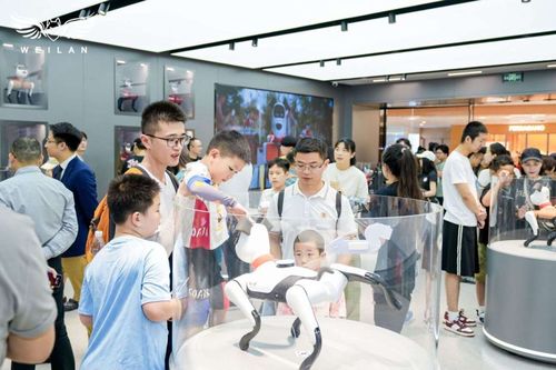 蔚藍科技發布具身智能產品矩陣，引領AI新紀元的信息技術咨詢服務革新