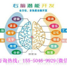 廈門學(xué)之源科技開發(fā)公司 專注早教教材與幼教產(chǎn)品，引領(lǐng)信息技術(shù)咨詢服務(wù)
